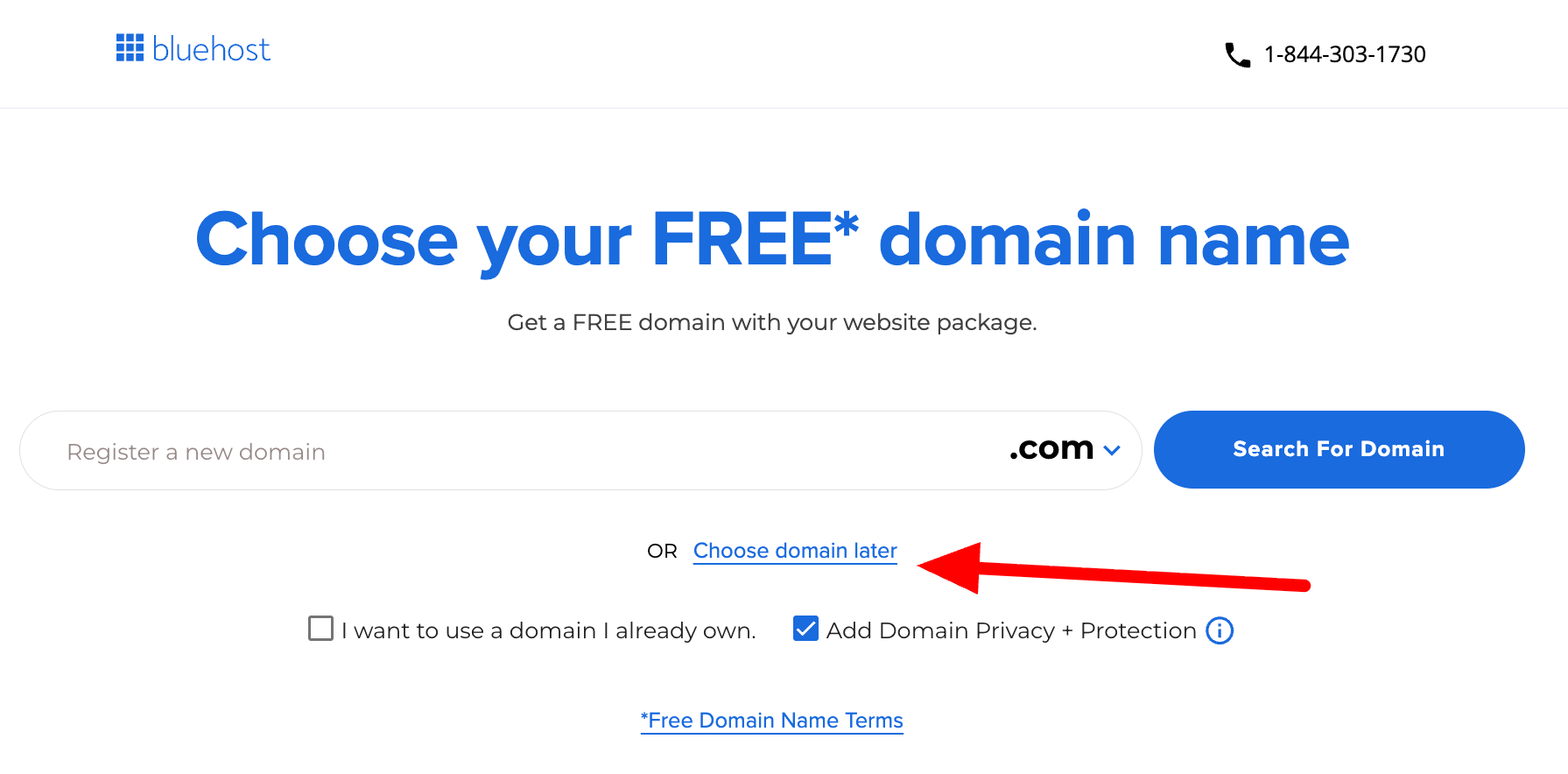 Choose Domain Later 2026