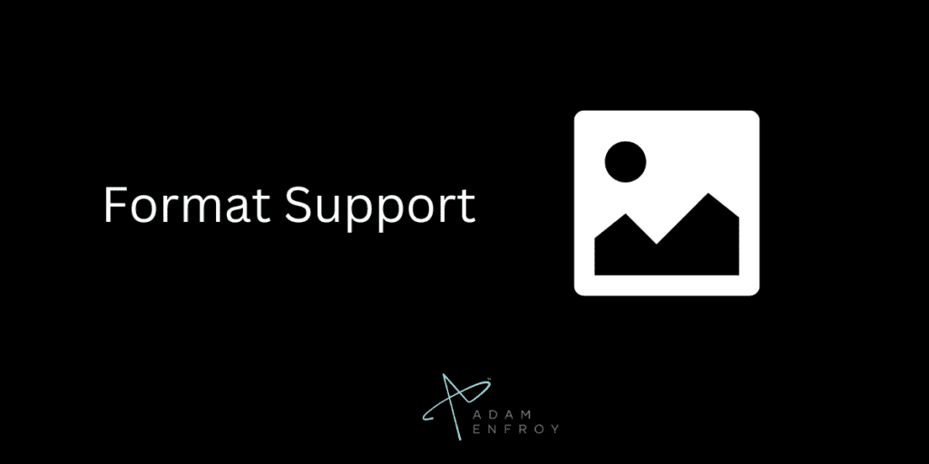 Format Support