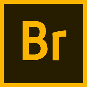 adobe bridge logo