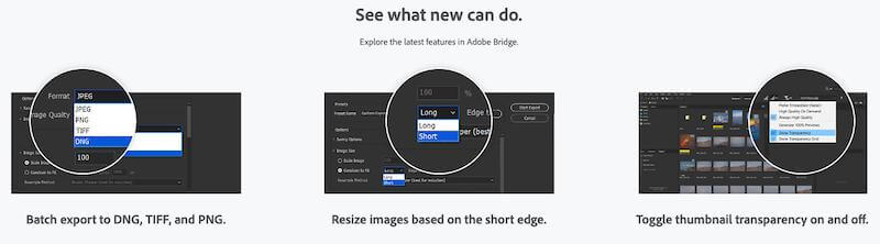 adobe bridge batch resize adobe bridge batch resize