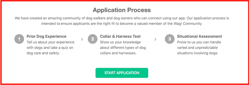 best-business-ideas-dog-walking.png