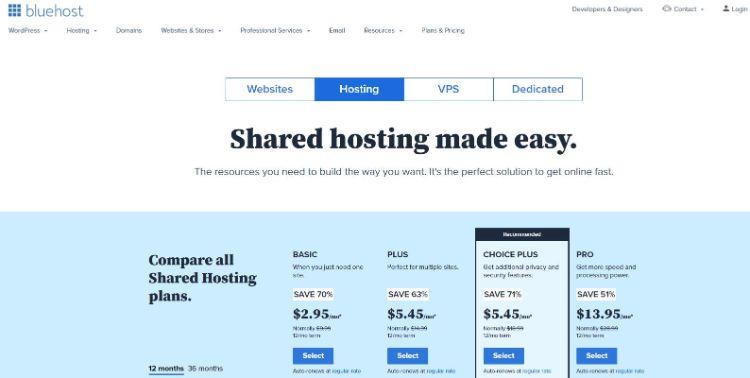 bluehost pricing