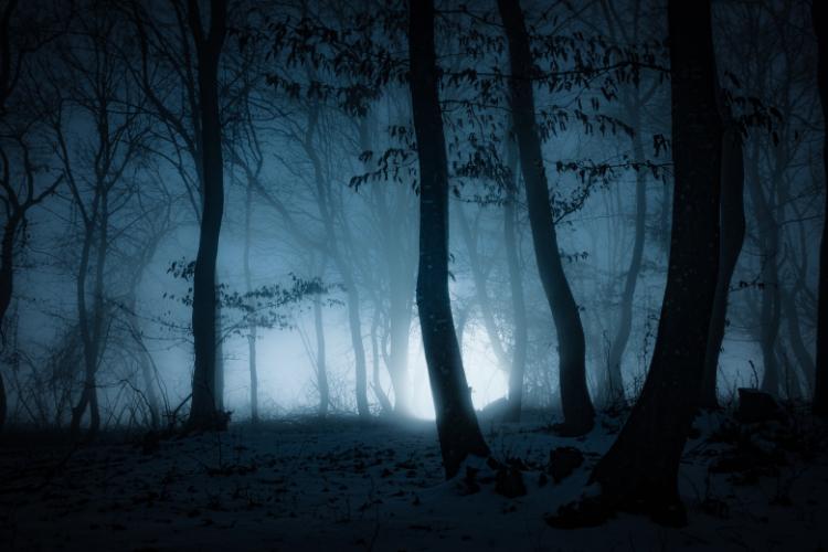 Ghost Stories