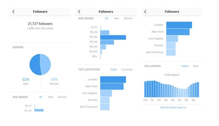 Instagram Business Analytics