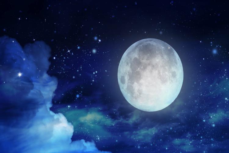 Moonlight Adventures