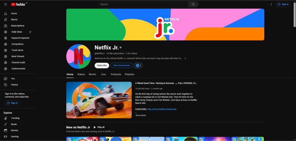 Netflix Jr