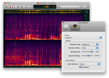 Ocenaudio features