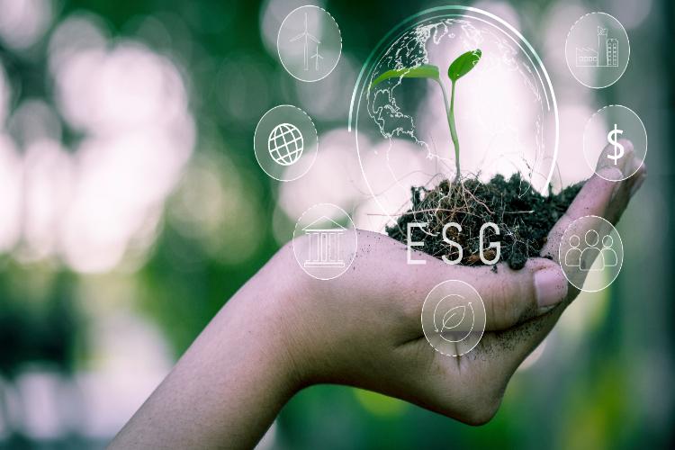 Sustainable and Ethical Investing