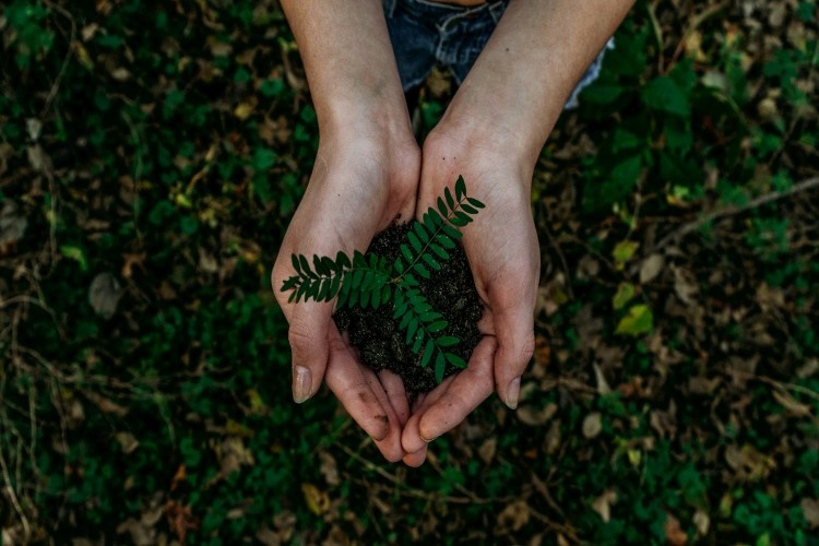 two hands holding a plant with some soil