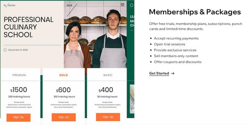 Wix: membership options 