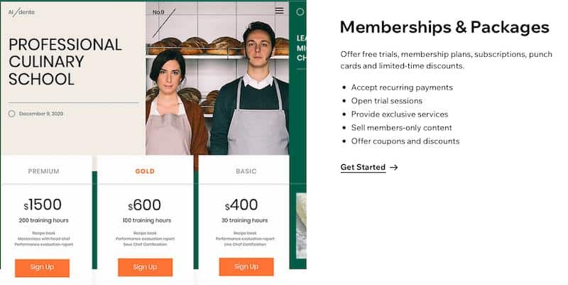Wix: membership options