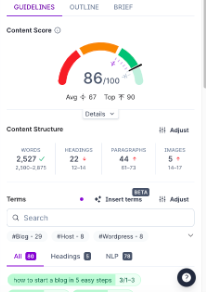 Surfer SEO score