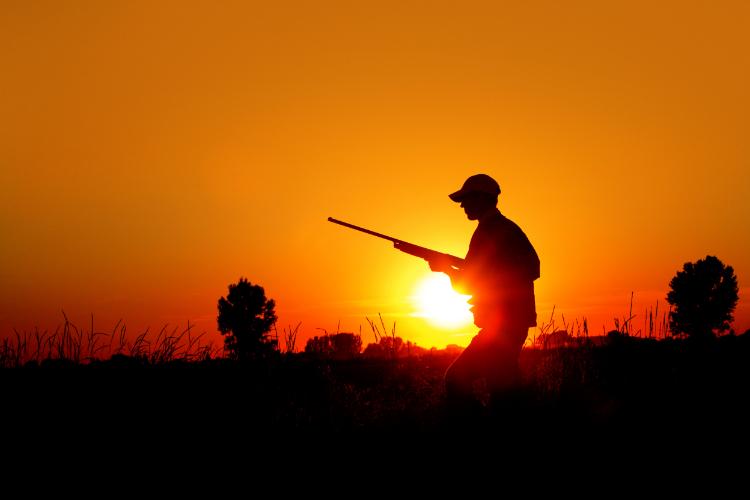 Conservation and Ethical Hunting