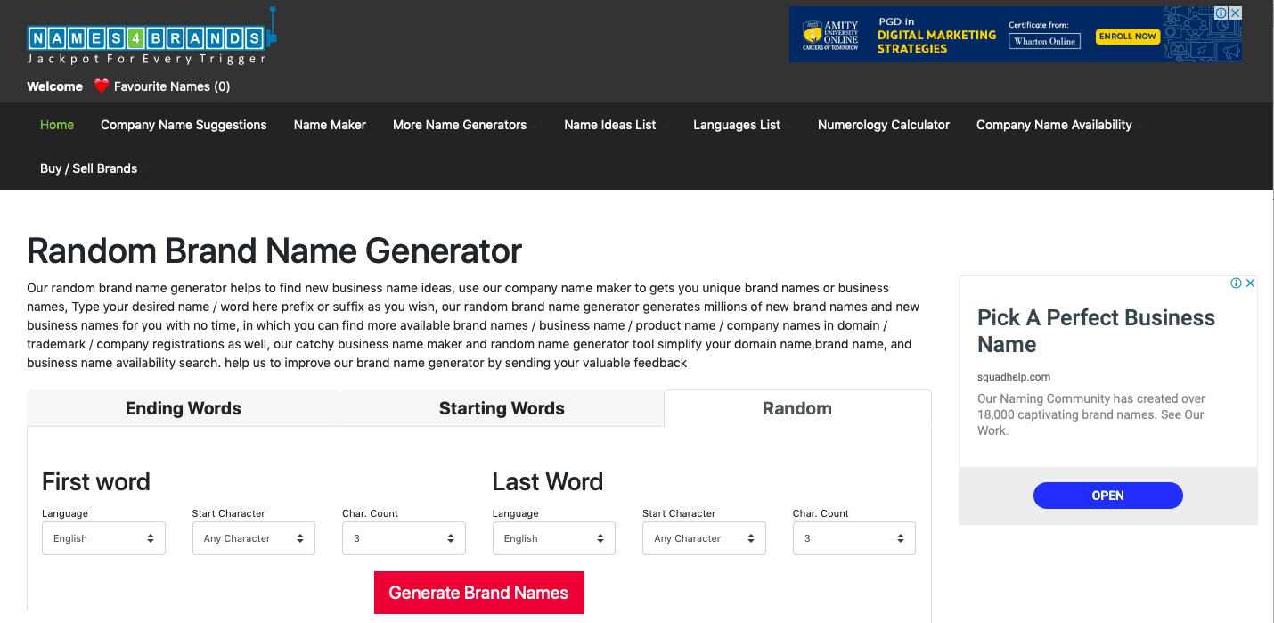 27 Best Name Generators (Domain Company and Random) 2021. 